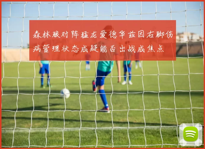 森林狼对阵猛龙爱德华兹因右脚伤病管理状态成疑能否出战成焦点