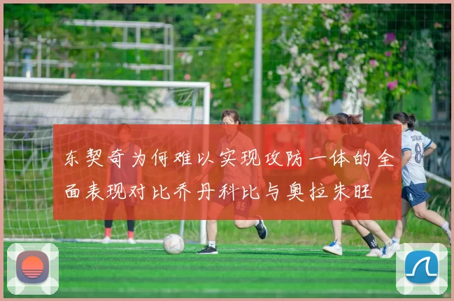 东契奇为何难以实现攻防一体的全面表现对比乔丹科比与奥拉朱旺
