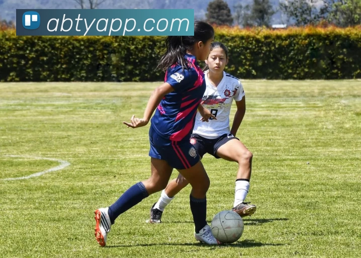 安博体育APPAPP 封面图